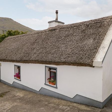The Thatched Cottage Liscarney エクステリア 写真