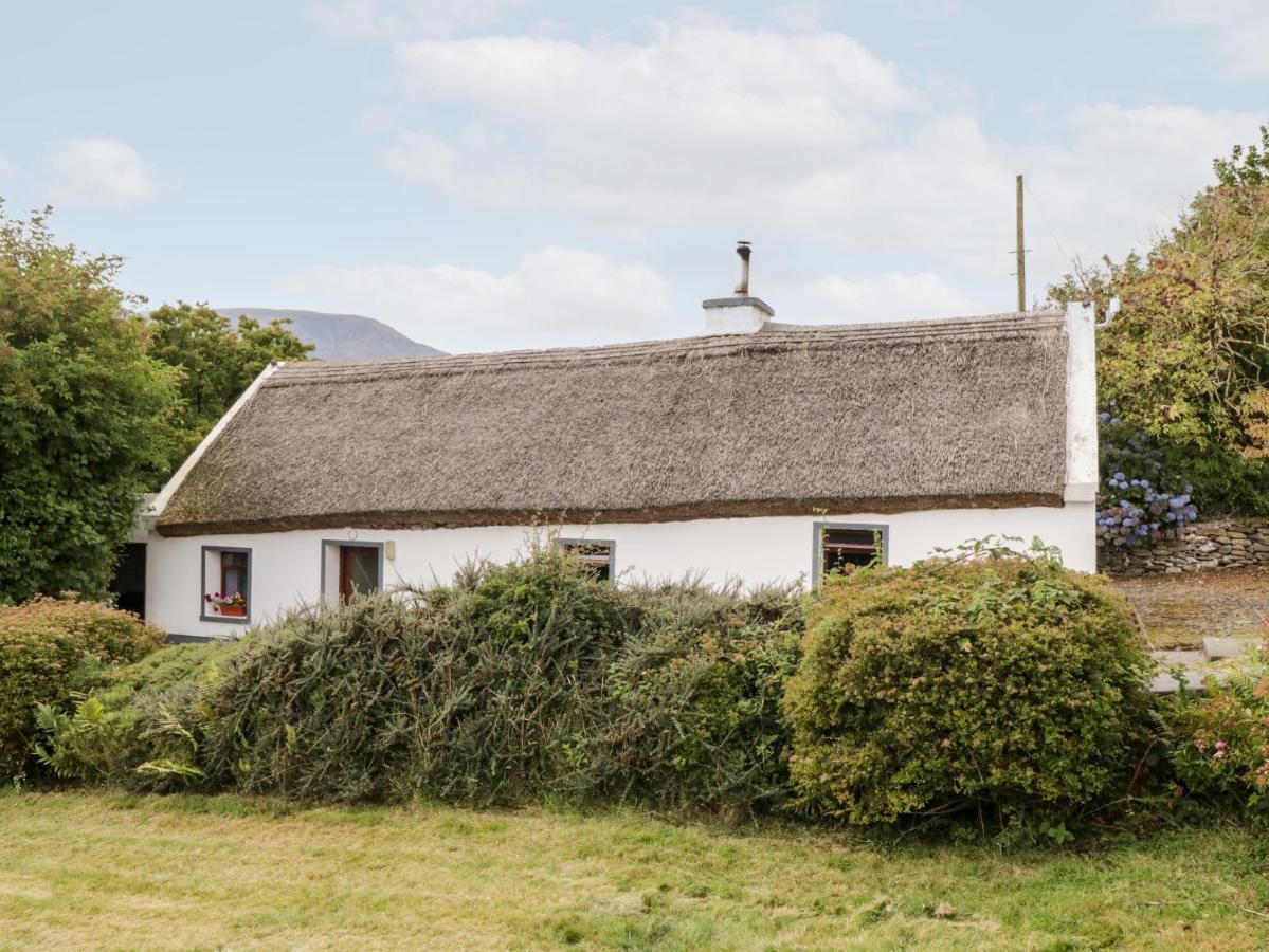 The Thatched Cottage Liscarney エクステリア 写真