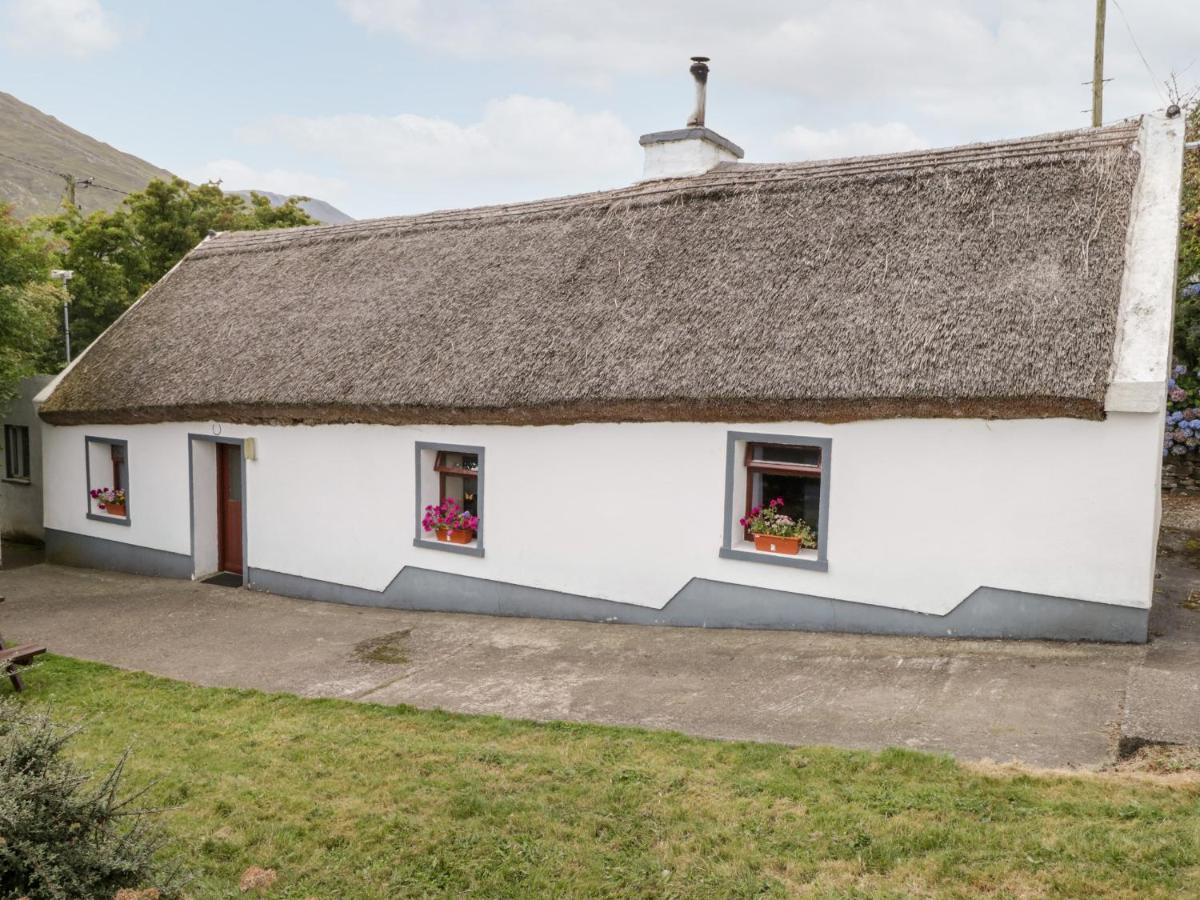 The Thatched Cottage Liscarney エクステリア 写真